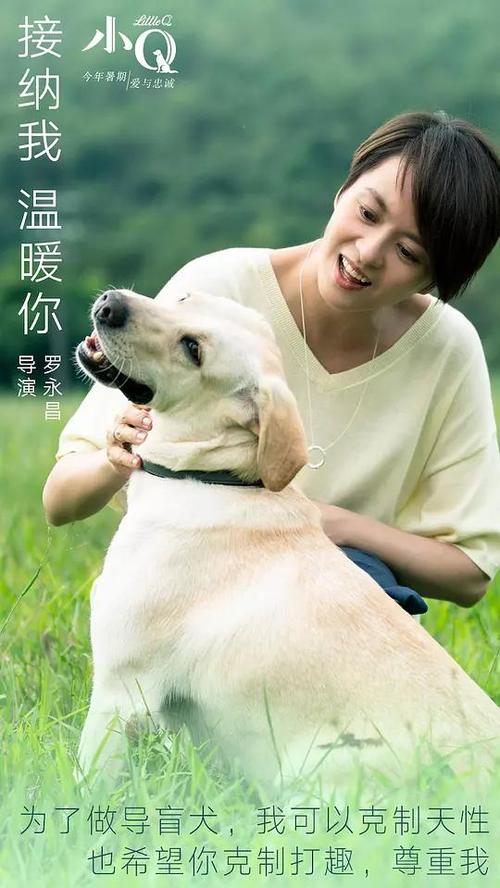南爱达荷学院毕业证